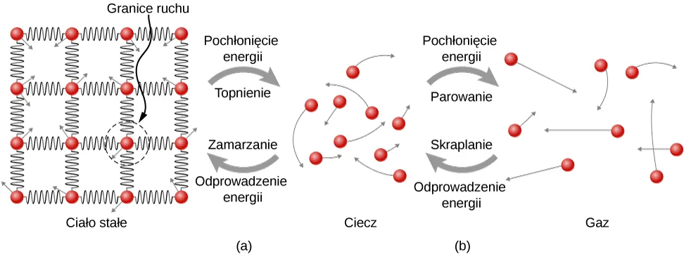 Rysunek a ilustruje zjawisko konwersji od stanu stałego do ciekłego. W stanie stałym cząsteczki wyglądają jak małe kulki poukładane w sieci. Są one połączone ze sobą sprężynami, tworząc strukturę kratownicy. Każda cząsteczka posiada małą wychodzącą z niej strzałkę. Strzałki wskazują różne kierunki. Długość strzałki kształtuje promień okręgu oznaczający granice ruchu. W stanie ciekłym cząsteczki są oddzielone od siebie bardziej niż w stałym. Strzałki wychodzące z cząsteczek wskazują, że nie zdążają one w żadnym określonym kierunku. Strzałka ze stanu stałego do ciekłego oznaczą włożoną energię, topnienie. Strzałka ze stanu ciekłego do stałego oznacza ubytek energii, krzepnięcie. Rysunek b ukazuje stany ciekły i gazowy, w tym drugim cząsteczki są oddalone od siebie bardziej. W gazie również, poruszają się one w niewyróżnionym kierunku. Strzałka ze stanu ciekłego do gazowego oznacza włożoną energię parowania. Strzałka od stanu gazowego do ciekłego oznacza energię utraconą, skraplanie. 