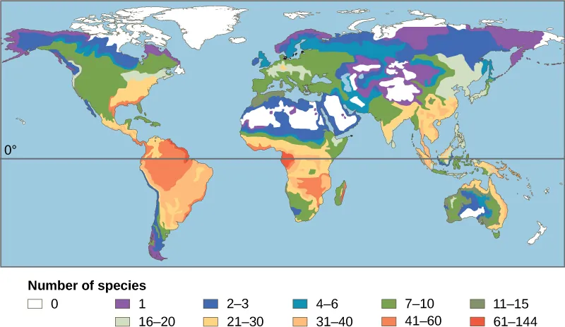 The number of amphibian species in different areas is specified on a world map. The greatest number of species, 61-144, are found in the Amazon region of South America and in parts of Africa. Between 21 and 60 species are found in other parts of South America and Africa, and in the eastern United States and Southeast Asia. Other parts of the world have between 1 and 20 amphibian species, with the fewest species occurring at northern and southern latitudes. Generally, more amphibian species are found in warmer, wetter climates.
