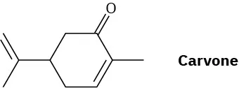 The carvone structure shows a cyclohexanone ring with a methyl group at the second carbon and an isopropyl on the fifth. A double bond connects the second and third carbon.
