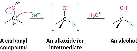 A carbonyl compound (partial positive C, partial negative O) is attacked by R negative to form alkoxide intermediate. Hydronium workup converts this to alcohol.