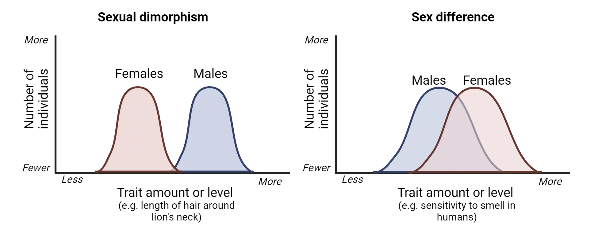 Two distribution graphs. Sexual dimorphism: shows male and females as separate distributions for some trait. Sex difference: shows male and female distribution of a trait as highly overlapping, with just a small separation.