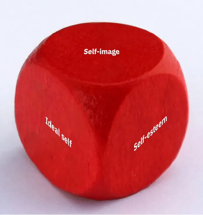Image of a red, six sided cube, with three sides labeled with: Self-image, Ideal self, and Self-esteem.