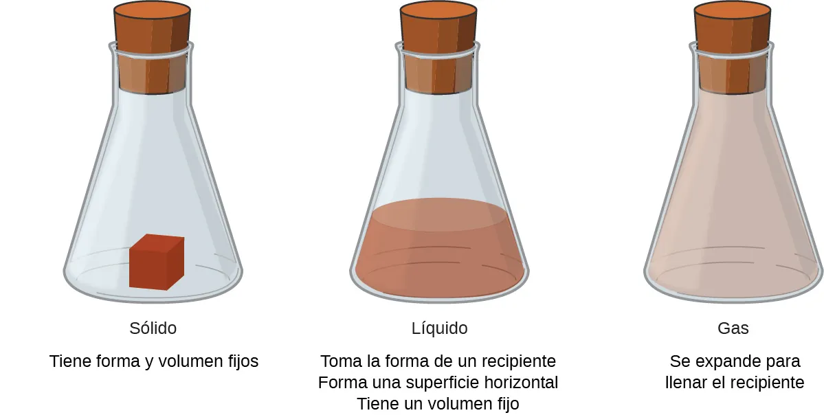 Un vaso de precipitados marcado como sólido contiene un cubo de materia roja y dice que tiene forma y volumen fijos. Un vaso de precipitados marcado como líquido contiene un líquido de color rojo pardo. Este vaso dice que tiene forma de recipiente, forma superficies horizontales y tiene volumen fijo. El vaso de precipitados marcado como gaseoso está lleno con un gas de color marrón claro. Este vaso de precipitado dice que se expande para llenar el recipiente.
