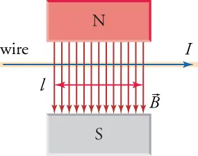A current-carrying wire in a magnetic field, with force acting on the wire going into the page.