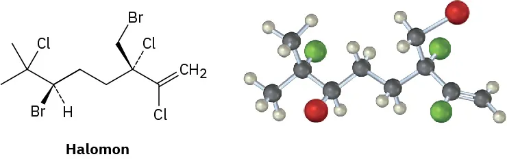 The wedge-dash structure and ball and stick model of Halomon. Black, gray, green, and red spheres represent carbon, hydrogen, chlorine, and bromine atoms, respectively.