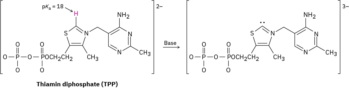 Thiamin diphosphate reacts with base forming a product, in which the hydrogen (with p K a 18) at C2 of the 5-membered ring is replaced with a lone pair.