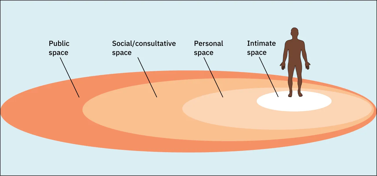 A diagraph shows a silhouette of a man standing in a circle labeled “intimate space.” This circle is surrounded by a larger circle labeled “personal space.” This circle is surrounded by a larger circle labeled “social space.” This circle is surrounded by a larger circle labeled “public space.”