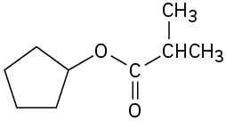 The structure of an ester shows a cyclopentane ring attached to an oxygen atom which in turn is bound to a carbonyl group bearing an isopropyl group.