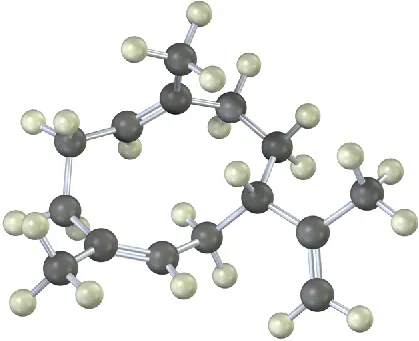 The ball-and-stick model of sesquiterpenoid, helmintho germacrene. Black and gray spheres denote carbon and hydrogen, respectively.