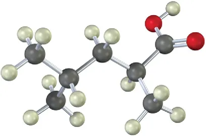 A ball-and-stick model of a compound comprising a five-carbon chain with a carboxylic acid group at C 2 and a methyl group at C 4.