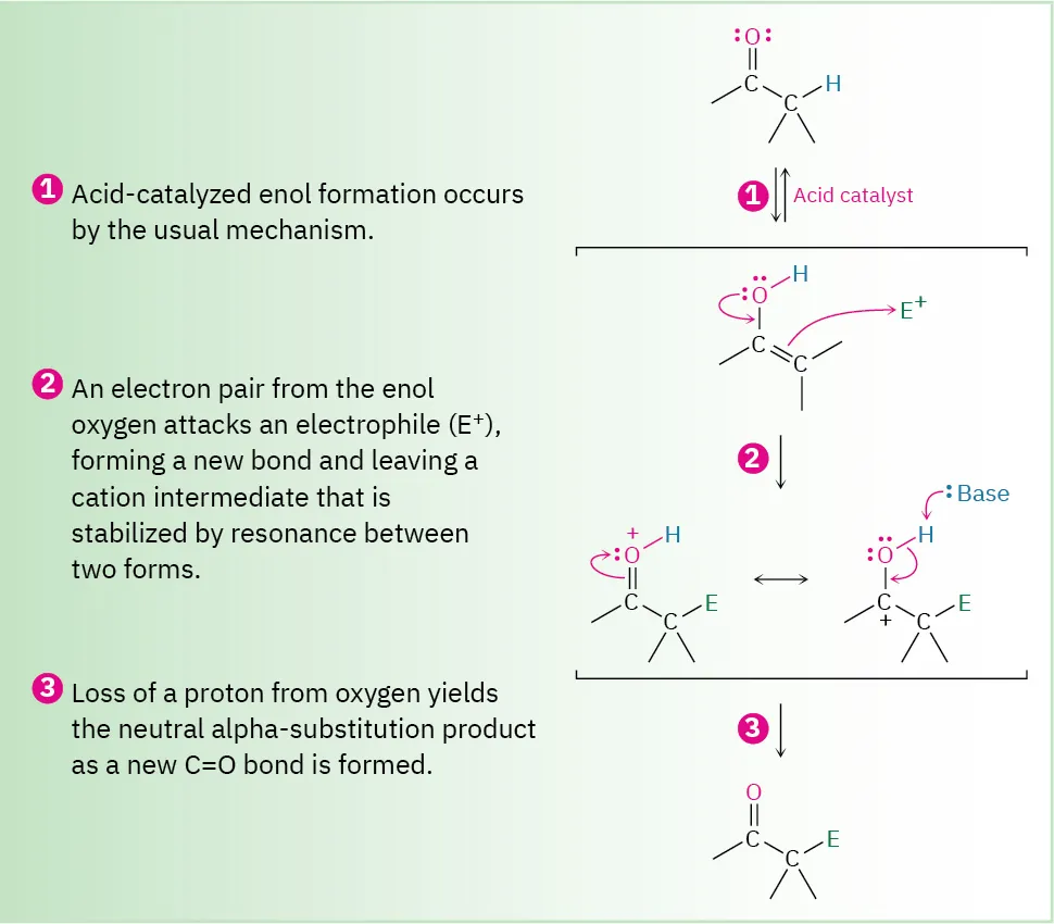 Acid-catalyzed mechanism of for alpha substitution of a carbonyl in three steps: enol  forms, this attacks electrophile from alpha carbon, and carbonyl oxygen is deprotonated to neutral product.