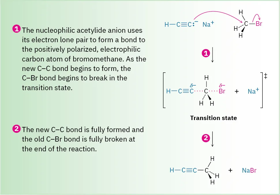 The figure shows a two-step mechanism of an acetylide anion reacting with bromomethane to form propyne. The reaction proceeds through a transition state.