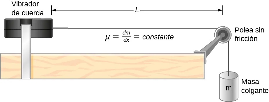 A la izquierda de la figura se muestra un vibrador de cuerda. Una cuerda está atada a su derecha. Esta va sobre una polea y baja por el lado de la mesa. Una masa colgante m está suspendida de ella. La polea no tiene fricción. La distancia entre la polea y el vibrador de cuerda es L. Se identifica como mu igual a delta m por delta x igual a constante.