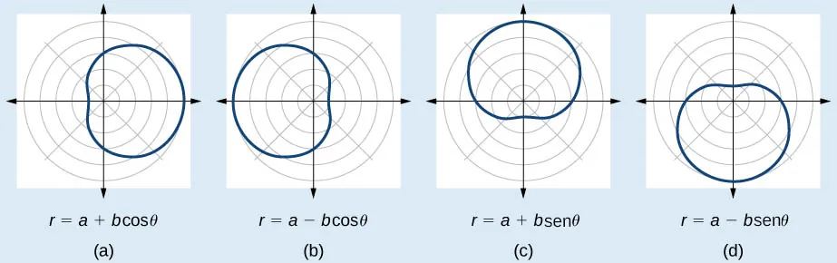 Cuatro caracoles de Pascal con hoyuelos uno al lado del otro. (A) es r = a + bcos(theta). Extendiéndose hacia la derecha. (B) es r=a-bcos(theta). Extendiéndose hacia la izquierda. (C) es r=a+bsen(theta). Extendiéndose hacia arriba. (D) es r=a-bsen(theta). Extendiéndose hacia abajo. 