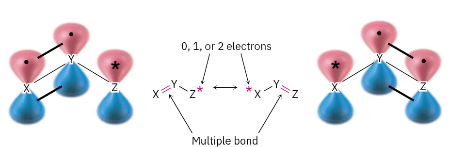 Two resonance forms in a three-atom grouping of X, Y, and Z with one double bond in the structure shown separated by a double-headed arrow.