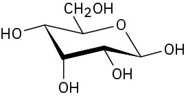 The Haworth projection of beta anomer of pyranose sugar named allose.