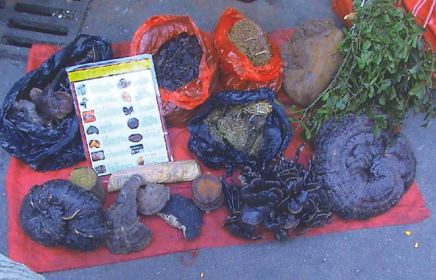 Photo of a variety of plants being sold by a street vendor.