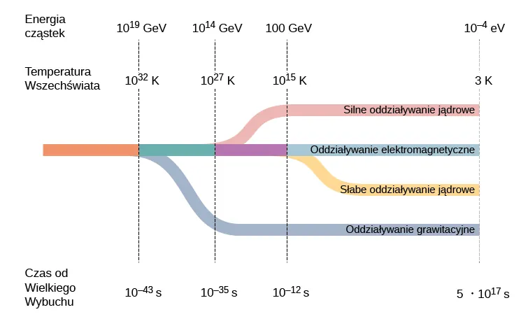 Na rysunku przedstawiono diagram czasowy z charakterystycznymi czterema punktami (w sekundach) od momentu Wielkiego Wybuchu i towarzyszące im charakterystyczne temperatury (w kelwinach) i energie cząstek (w elektronowoltach). Od Wielkiego Wybuchu poprowadzona jest jedna linia, która rozdziela się w punkcie 10 do potęgi minus 43 s (10 do potęgi 32 K i 10 do potęgi 19 GeV) na dwie, z których jedna oznaczona jest jako Oddziaływanie grawitacyjne. Druga biegnie dalej prosto i w punkcie 10 do potęgi minus 35 s (10 do potęgi 27 K, 10 do potęgi 14 GeV) rozdziela się na kolejne dwie, z których jedna oznaczona jest Oddziaływanie silne jądrowe. Druga biegnie prosto i w punkcie 10 do potęgi minus 12 s (10 do potęgi 15 K, 100 GeV) rozdziela się znów na dwie, które oznaczono Oddziaływanie elektromagnetyczne i Oddziaływanie słabe jądrowe. Cztery rozdzielone linie biegną dalej do punktu 5 razy 10 do potęgi 17 s (3 K, 10 do potęgi minus 4 eV).