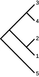 A branching tree diagram, resembling a phylogenetic tree, displays five labeled terminal branches numbered 1 through 5, illustrating hierarchical relationships or evolutionary paths.