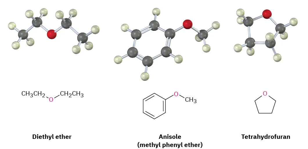 The ball-and-stick model and structures of diethyl ether, anisole (methyl phenyl ether), and tetrahydrofuran. The shared oxygen atom bonded to two organic groups is highlighted.