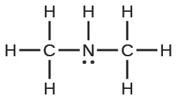 The structural formula of dimethylamine, (CH3)2NH, a secondary amine. It features a central nitrogen atom bonded to two methyl groups and one hydrogen, along with a lone pair.