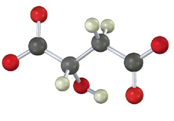A ball-and-stick model of a four-carbon chain with two  carboxylate anions at C1 and C4, and a hydroxyl group at C2