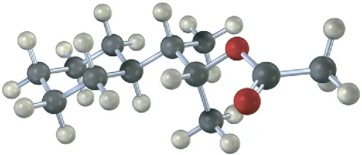 A ball-and-stick model of an alkyl acetate. The gray, black, and red spheres represent hydrogen, carbon, and bromine, respectively.