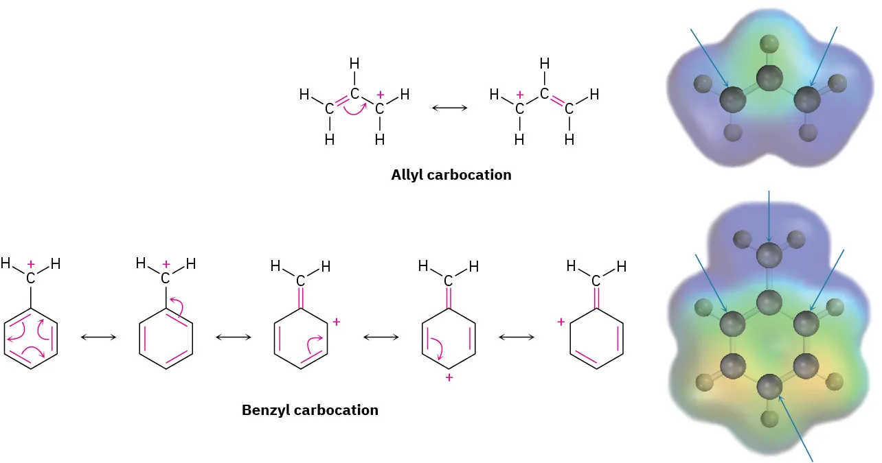 Resonance forms and electrostatic potential maps of allyl carbocation and benzyl carbocation. Two resonance forms of allyl carbocation and five resonance forms of benzyl carbocation.