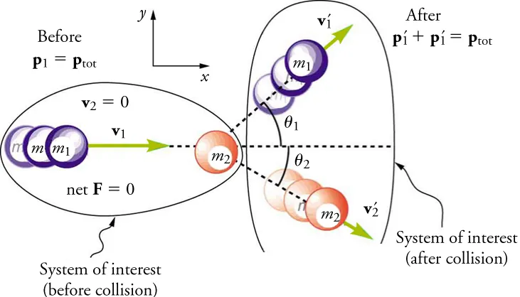 An illustration shows before and after diagrams of two balls, one moving toward the other. The first ball is labeled m one and the second ball is labeled m two. Both diagrams are labeled System of Interest, but the diagram on the left specifies before collision and the diagram on the right specifies after collision. In the before diagram, a velocity vector, v one, points from m one to m two. The following are also shown: v two equals zero, net F equals zero, and p one equals p total. In the after diagram, m one is moving in an upward direction and m two is moving in a downward direction. Vectors labeled v one prime and v two prime show their directional movements. M one and m two are shown forming angles with the x-axis. The equation p one prime plus p one prime equals p total is shown.