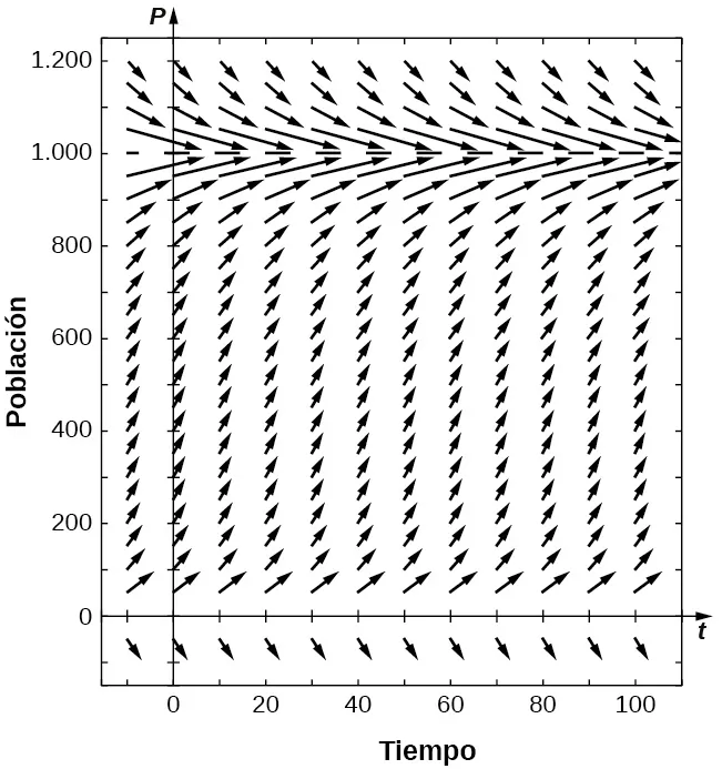 Un campo de direcciones con flechas que apuntan hacia abajo y hacia la derecha para P < 0, hacia arriba para 0 < P < 1.000, y hacia abajo para P > 1.000. Cuanto más lejos están las flechas de P = 0 y P = 1.000, más verticales se vuelven, y cuanto más cerca están, son más horizontales.