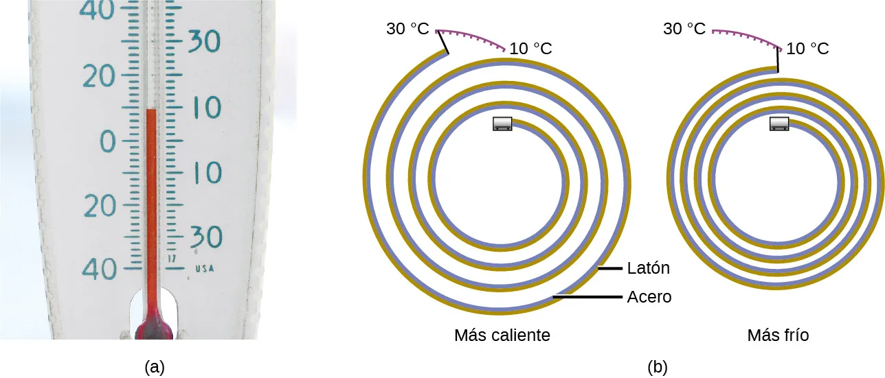 Se muestra una imagen etiquetada como a y un par de dibujos etiquetados como b. La imagen a muestra la parte inferior de un termómetro de alcohol. El termómetro tiene una escala impresa a la izquierda del tubo en el centro que presenta desde cuarenta grados negativos en la parte inferior hasta cuarenta grados en la parte superior. También tiene una escala impresa a la derecha del tubo que va desde los treinta grados negativos en la parte inferior hasta los treinta y cinco grados en la parte superior. En ambas escalas, el volumen del alcohol en el tubo marca entre nueve y diez grados. Las dos imágenes etiquetadas como b muestran una tira metálica enrollada en espiral y compuesta de latón y acero. La bobina enrollada de la izquierda, que no está apretada, está etiquetada a lo largo de su borde superior con los 30 grados C y los 10 grados C. El extremo de la espiral enrollada está cerca de la etiqueta de los 30 grados C. La tira enrollada de la derecha está mucho más apretada y el extremo está cerca de la etiqueta de 10 grados C.
