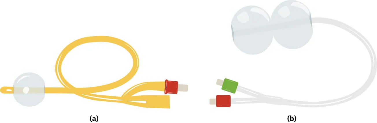(a) Image of a Foley catheter. (b) Image of a double balloon catheter.