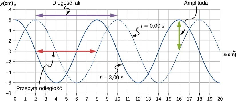 Rysunek pokazuje dwie fale poprzeczne, których wartości y zmieniają sie od -6 cm do 6 cm. Jedna fala, oznaczona jako t=0 s jest narysowana linia przerywana. Posiada grzbiety dla x równych 2, 10 and 18 cm. Druga fala oznaczona jako t=3 s jest narysowana linia ciągłą. Posiada grzbiety dla x równych 0, 8 and 16 cm. Odległość pionowa pomiędzy najbliższymi grzbietami jest oznaczona jako długość fali, tj. od x=2 cm do x=10 cm. Pionowa odległość od położenia równowagi do grzbietu jest oznaczona jako amplituda, tj. od y=0 cm do y=6 cm. Czerwona strzałka oznacza odległość przebyta przez falę, tj. od x=2 cm do x=8 cm.