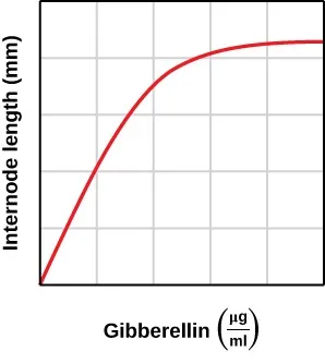 The graph plots internode length (mm) on the y-axis versus gibberellin (µg/ml) on the x-axis. The plot line begins at 0, 0 and then arcs upward before it reaches a plateau.