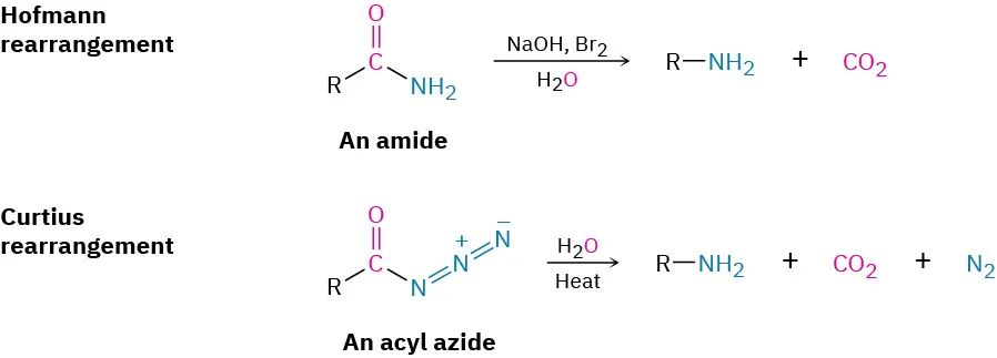 Hofmann rearrangement: An amide reacts with sodium hydroxide, bromine, and water to form an amine. Curtius rearrangement: An acyl azide reacts with water and heat to form an amine.