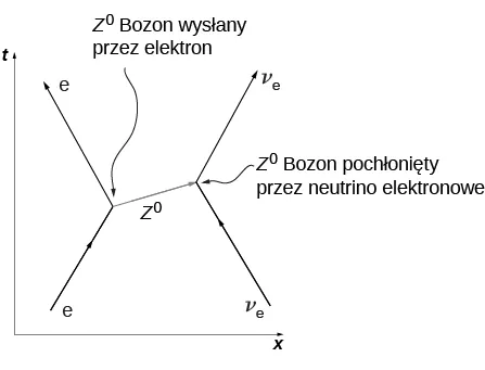 Rysunek przedstawia schematyczny wykres t od x. Strzałka oznaczona e minus biegnie do góry w prawo i spotyka początek innej strzałki biegnącej do góry w lewo. Z punktu wspólnego wychodzi trzecia strzałka oznaczona Z z indeksem górnym zero. Po prawej strony diagramu do góry w lewo biegnie strzałka oznaczona ni z indeksem e, która spotyka koniec strzałki bozonu Z zero. Z tego punktu wychodzi kolejna strzałka do góry w prawo, oznaczona także ni e. Punkt styku trzech strzałek po prawej stronie jest nieco wyżej niż po lewej.