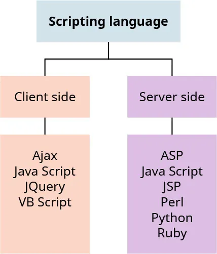Illustration of Scripting language divided into Client side (Ajax, Java Script, JQuery, VB Script) and Server side (ASP, Java Script, JSP, Perl, Python, Ruby).