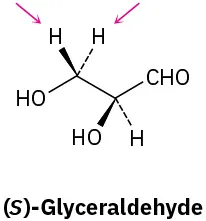 The wedge-dash structure of (S)-glyceraldehyde. Two arrows point toward the hydrogen atoms bonded at C3.