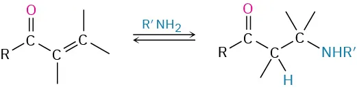 An alpha beta-unsaturated compound reacts with an amine to form a compound with carbonyl and beta amine group.