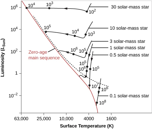 An H-R Diagram of the Evolutionary Tracks for Contracting Protostars. The vertical scale is labeled “Luminosity”, in units of the luminosity of the Sun. The scale starts at 10-4 at the bottom and goes to 106 at the top. The horizontal scale is labeled “Surface Temperature (K)”, in degrees Kelvin. The scale begins at 63,000 on the left down to 1,600 on the far right. A red line running diagonally across the diagram from upper left to lower right marks the zero-age main sequence. A black dashed line is drawn slightly above the red line, above which stars may still be surrounded by infalling material. Six curves are shown to illustrate how stars of different masses change as they evolve toward the zero-age main sequence. On each curve are dots indicating the amount of time since the initial collapse that it takes for the star to reach that position on the H-R diagram. For example, after 100 years a 30 Solar mass star will have collapsed to the point that its temperature is about 4000 K, and its luminosity is nearly 106 that of the Sun. At 1000 years the temperature is now about 20,000 K and nearly the same luminosity. At 10,000 years the star has reached the zero-age main sequence with a surface temperature of nearly 50,000 K and luminosity 106 times Solar. As a further example, a star of one Solar mass takes longer to collapse. At 100,000 years its temperature is just above 4000 K and its luminosity as about 3 times Solar. At one million years the temperature has increased slightly, but the luminosity as dropped to about 1.5. When it finally settles on the zero-age main sequence, the temperature has risen to over 5000 K, and its luminosity has dropped to one.