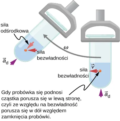 Ilustracja probówki w wirówce, poruszającej się w kółko zgodnie z kierunkiem ruchu wskazówek zegara z prędkością kątową omega. Probówka jest przedstawiona w dwóch różnych pozycjach: na dole okręgu i około 45 stopni później. Jest zorientowana wzdłuż promienia z otwartym końcem bliżej osi obrotu. Analizowana zawartość znajduje się na dole probówki. Pokazane są następujące wektory: W dolnym położeniu przyspieszenie dośrodkowe a sub c jest skierowane radialnie do środka, prędkość v i siła bezwładności są ustawione poziomo w kierunku ruchu. Krótko później, gdy probówka przesuwa się w górę iw lewo, przyspieszenie dośrodkowe a sub c skierowane jest wzdłuż promienia do środka, siła bezwładności jest skierowana na lewo, a siła odśrodkowa wzdłuż promienia na zewnątrz. Napisane jest, że cząstka porusza się w lewą stronę, gdy probówka się podnosi, zatem ze względu na bezwładność porusza się w dół względem probówki.