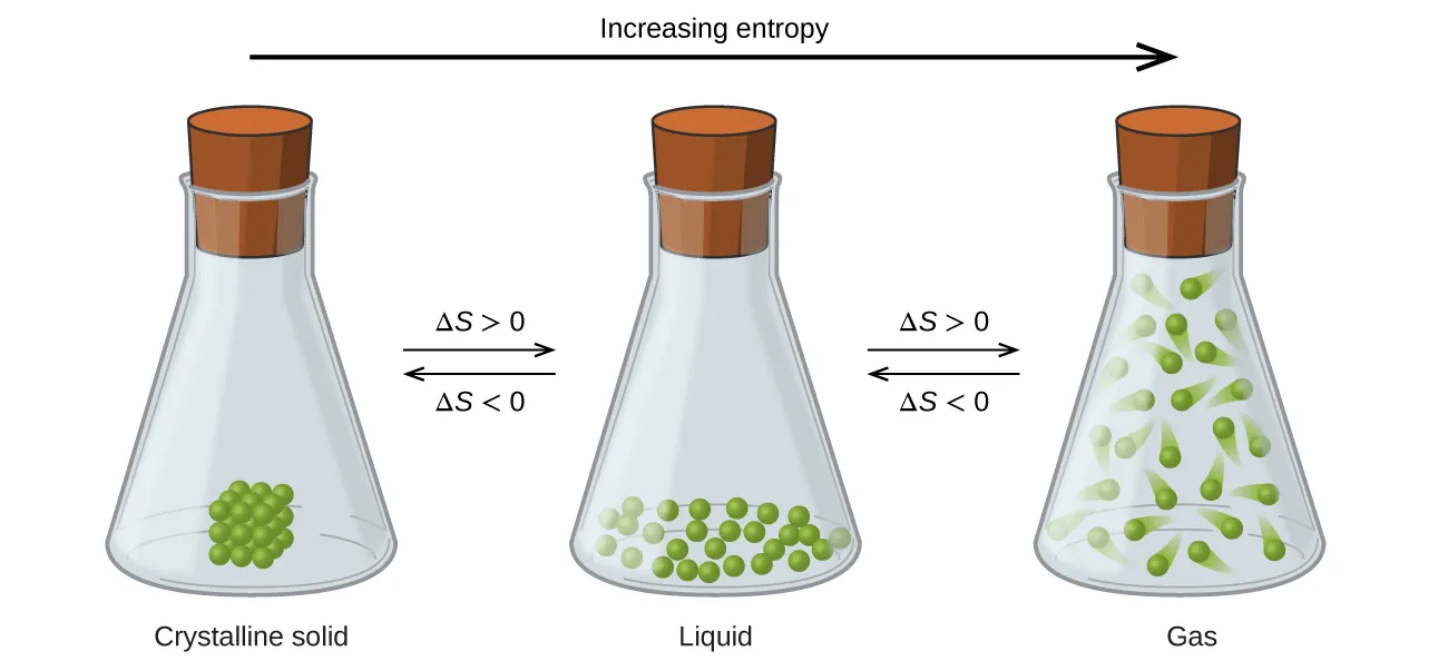 Three stoppered flasks are shown with right and left-facing arrows in between each; the first is labeled above as, “delta S greater than 0,” and below as, “delta S less than 0,” while the second is labeled above as, “delta S greater than 0,” and below as, “delta S less than 0.” A long, right-facing arrow is drawn above all the flasks and labeled, “Increasing entropy.” The left flask contains twenty-seven particles arranged in a cube in the bottom of the flask and is labeled, “Crystalline solid,” below. The middle flask contains twenty-seven particles dispersed randomly in the bottom of the flask and is labeled, “Liquid,” below. The right flask contains twenty-seven particles dispersed inside of the flask and moving rapidly and is labeled, “Gas,” below.