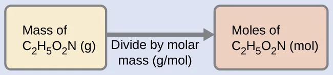 A diagram of two boxes connected by a right-facing arrow is shown. The box on the left contains the phrase, “Mass of C subscript 2 H subscript 5 O subscript 2 N ( g )” while the box on the right contains the phrase, “Moles of C subscript 2 H subscript 5 O subscript 2 N ( mol ).” There is a phrase under the arrow that says “Divide by molar mass (g / mol).”