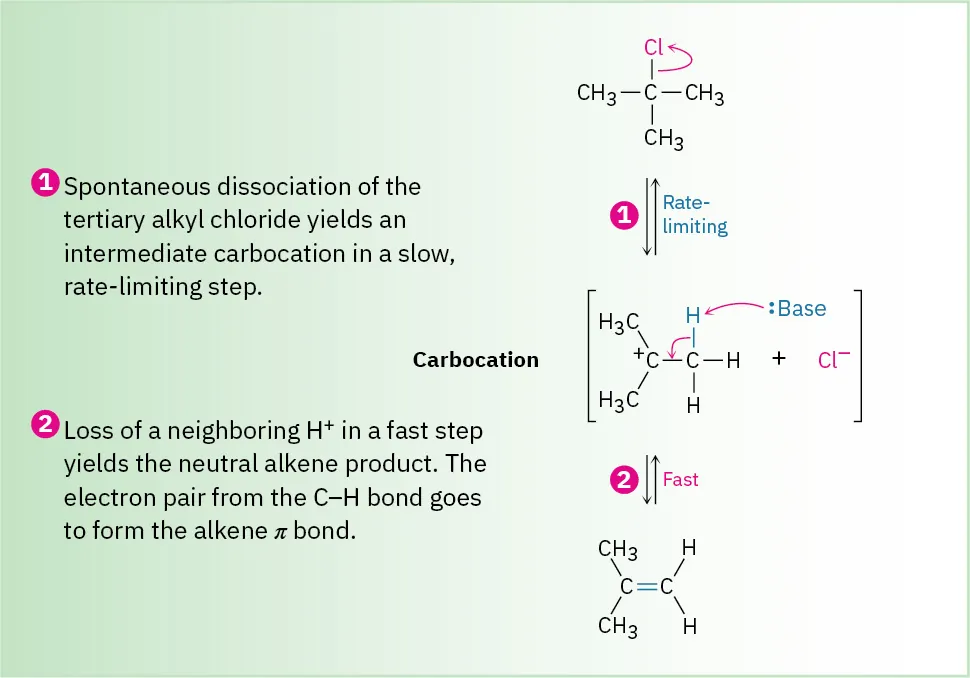2-chloro-2-methylpropane undergoes a 2-step reaction to produce chloride ion and carbocation, which reacts with base to yield neutral alkene. The first step is rate-limiting, while the second step is fast.