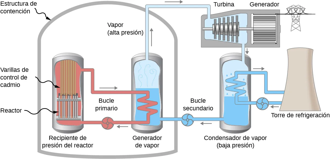 Una estructura cerrada denominada estructura de contención tiene dos recipientes en su interior, una vasija de presión del reactor y un generador de vapor. El primero contiene varillas de control de cadmio en la parte superior y un reactor en la parte inferior. Un bucle cerrado marcado como bucle primario va desde la parte superior hasta el fondo del recipiente. Parte de este bucle se encuentra dentro del segundo recipiente, el generador de vapor. Se llena de agua y vapor. Un segundo bucle cerrado, denominado bucle secundario, va desde el generador de vapor hasta el exterior de la estructura de contención y vuelve a entrar. Fuera de la estructura, pasa primero por una turbina y luego por un condensador de vapor. La turbina está unida a un generador eléctrico. Un bucle cerrado va desde el condensador de vapor, pasa por una torre de refrigeración y vuelve a entrar.
