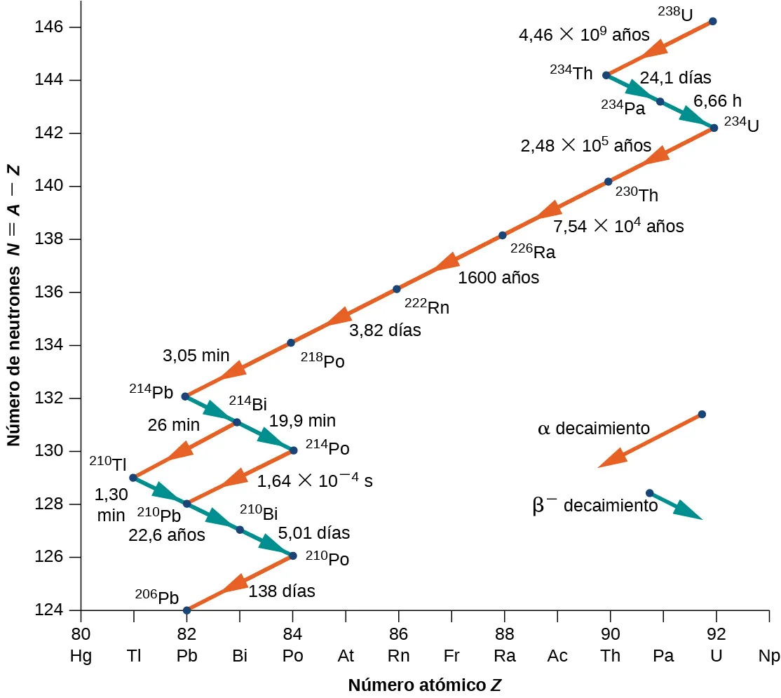 Se muestra un gráfico del número de neutrones N = A - Z frente al número atómico Z. El decaimiento alfa se muestra con flechas rojas que apuntan hacia abajo a la izquierda, mostrando así la disminución tanto de N como de Z. El decaimiento beta se muestra con flechas azules que apuntan hacia abajo a la derecha, indicando una disminución de N y un aumento de Z. El decaimiento se muestra como sigue: Decaimiento alfa de 238 U a 234 Th en 4,46 por 10 a la potencia 9 años. Decaimiento beta de 234 Th a 234 Pa en 24,1 días y de 234 Pa a 234 U en 6,66 horas. Decaimiento alfa de 234 U a 230 Th en 2,48 por 10 a la potencia 5 años, de 230 Th a 226 Ra en 7,54 por 10 a la potencia 4 años, de 226 Ra a 222 Rn en 1600 años, de 222 Rn a 218 Po en 3,82 días y de 218 Po a 214 Pb en 3,05 minutos. Decaimiento beta de 214 Pb a 214 Bi en 26 minutos y de 214 Bi a 214 Po en 19,9 minutos. Decaimiento alfa de 214 Bi a 210 Tl en 26 minutos y de 214 Po a 210 Pb en 1,64 por 10 a la potencia menos 4 segundos. Decaimiento beta de 210 Tl a 210 Pb en 1,3 minutos, de 210 Pb a 210 Bi en 22,6 años y de 210 Bi a 210 Po en 5,01 días. Decaimiento alfa de 210 Po a 206 Pb en 138 días.