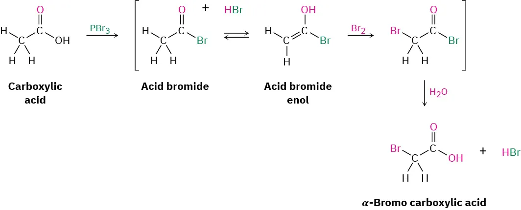 Carboxylic acid reacts with phosphorus tribromide to form two interconvertable acid bromide intermediates, which react with bromine to yield an alpha-bromo acid bromide, which further reacts with water to form an alpha-bromocarboxylic acid.