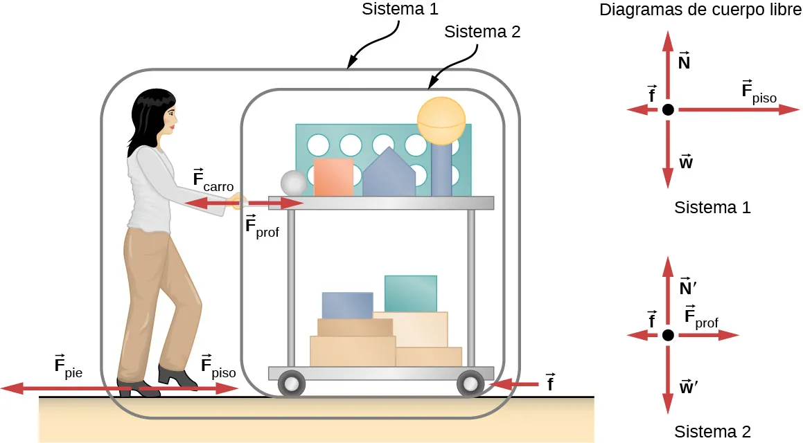 La figura muestra a una persona que empuja un carro de izquierda a derecha. Cerca de los pies de la persona se encuentran las flechas marcadas F subíndice pie, que apunta a la izquierda, y F subíndice suelo, que apunta a la derecha. Una flecha f apunta a la izquierda y se muestra cerca de la rueda del carro. Se muestran las flechas F subíndice prof que apunta a la derecha y F subíndice carro apunta a la izquierda cerca de sus manos. El carro está encerrado en un círculo y marcado como sistema 2. El carro y la persona están encerrados en un círculo juntos y esto está marcado como sistema 1. Se muestran dos diagramas de cuerpo libre. El primero, del sistema 1, tiene F subíndice suelo y apunta hacia la derecha, N apunta hacia arriba, f apunta hacia la izquierda y w apunta hacia abajo. El segundo diagrama, del sistema 2, tiene F subíndice prof que apunta hacia la derecha, N prima apunta hacia arriba, f apunta hacia la izquierda y w prima que apunta hacia abajo.