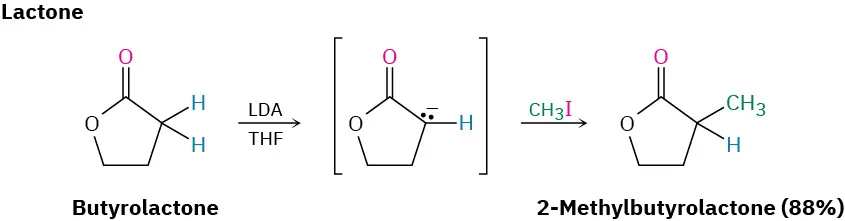 Butyrolactone reacts with L D A in T H F to form an intermediate, which reacts with methyl iodide to form 2-methylbutyrolactone in 88 percent yield.