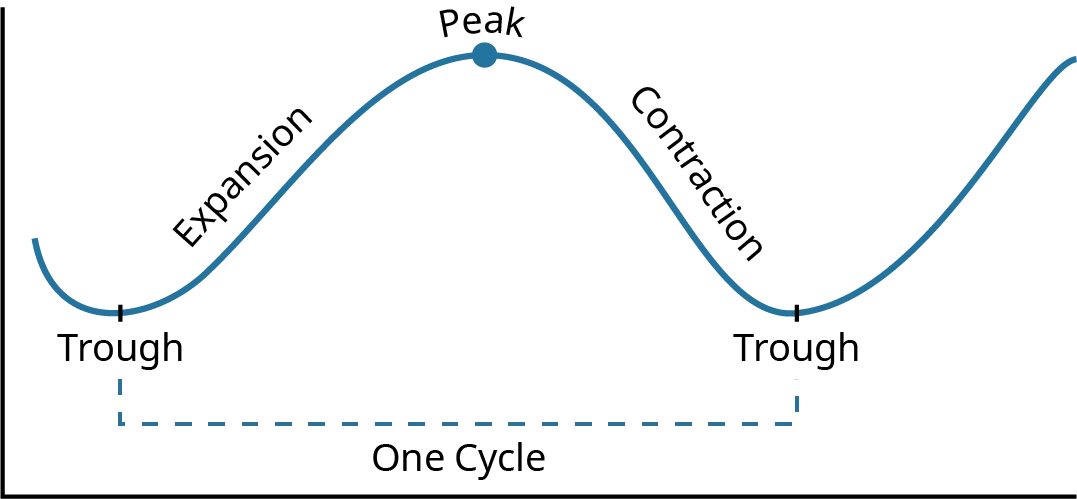 A line graph shows the stages of business . The line starts low on the graph. This is labelled the trough. The line slopes upward until it hits its highest point. The uplward slope of the line is labelled the expansion and the highest point is labelled the peak. The line then slpes downward until it reaches another low point. The downard slope is labelled the contrraction and the low point is labelled the trough. There is a dotted line going from the first trough to the second; this dotted line is labelled one cycle.